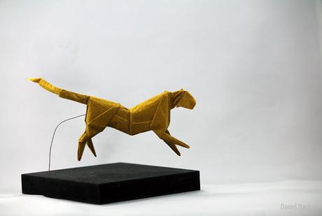 Correr, supongo Correr, supongo