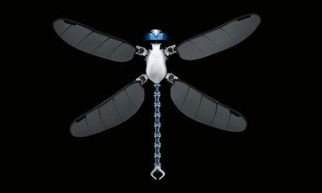 Dragonfly, el Primer Dron Biológico Resultado de imagen para dronfly dron