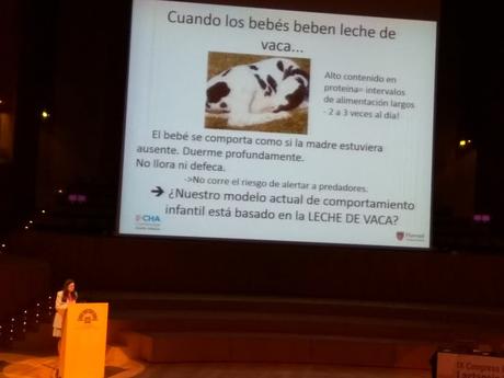 IX Congreso Español de Lactancia Materna: Lactancia, Colecho y SMSL