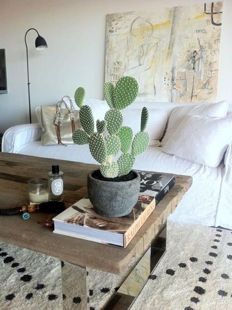 Decoración verde: Cactus en tu hogar.