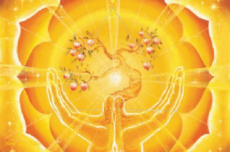 Tu Plexo Solar Formas de Activarlo Tu Plexo Solar Formas de Activarlo