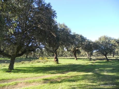 Ruta por Alcuescar (Cáceres)