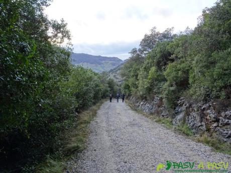 Sierra de Juan Robre: Pista de las Cabañas de Charás a Arenas de Cabrales