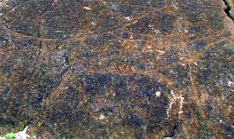 Petroglifos en Rapa Nui Petroglifos en Rapa Nui