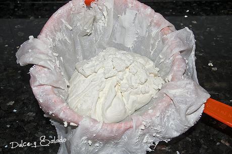 Queso Fresco de Yogur con Lactobacillus y Bífidus