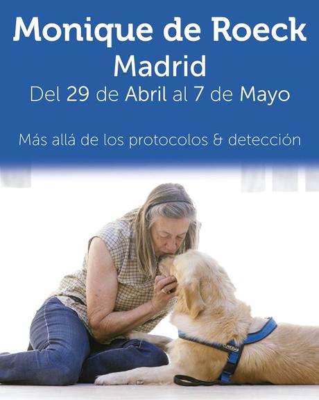 Más allá de los protocolos & detección. Jornadas en Madrid (Del 29 al 7 de Mayo) jornadas alcala de henares
