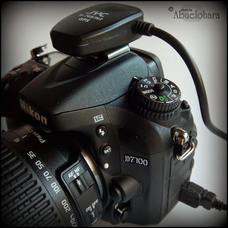 Modulo GPS for Nikon instalado en la zapata de la cámara y el cable conector lateral. Fotografia_Nikon_Abuelohara