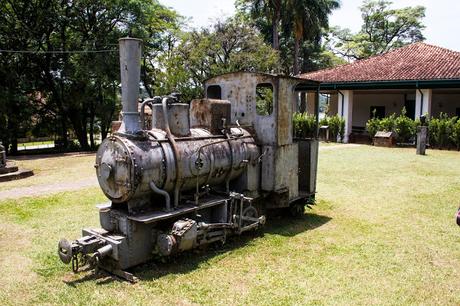 Floresta Nacional de Ipanema