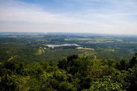 Floresta Nacional de Ipanema