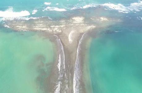 Marino Ballena, la cola que atrae a las ballenas Cola de ballena en una captura del vídeo elaborado con dron por Paco Nadal