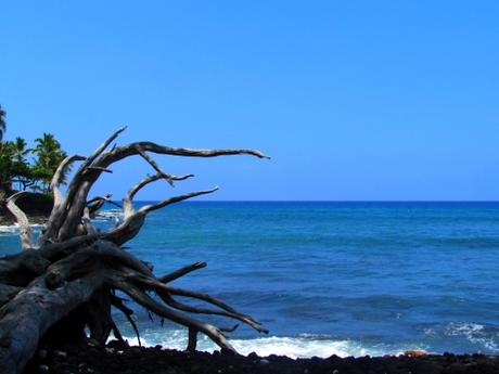 Kanaloa. Big Island. Hawaii