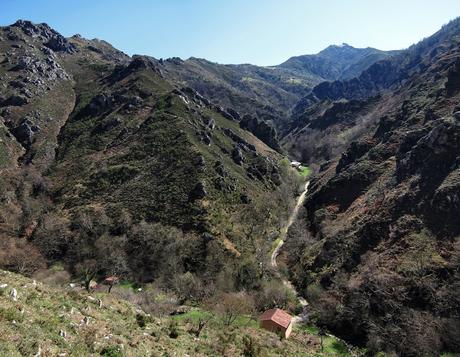 LOS PROFUNDOS VALLES DEL RAIGOSU (Raigosu, Cuadrazales, Forno y L'Gallu)