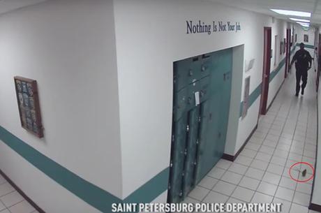 Así son todos cuando están solos: La reacción de este #policía al ver una rata (VIDEO) Así son todos cuando están solos: La reacción de este #policía al ver una rata (VIDEO)