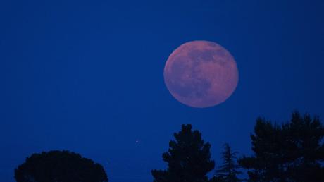 El cielo se iluminará esta noche con una hermosa “#luna rosada”
