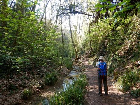 Sabadell - Torrent de Colobrers - Ermita de Togores - Torre del Canonge - Sabadell Sabadell - Torrent de Colobrers - Ermita de Togores - Torre del Canonge - Sabadell