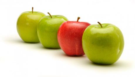 Diferénciate de tus competidores Diferénciate de tus competidores