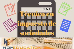 técnico en impuesto de sociedades