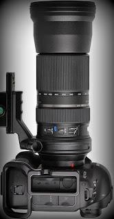 Objetivo Tamron SP 150-600mm en un cuerpo Nikon Fotografia_Abuelohara