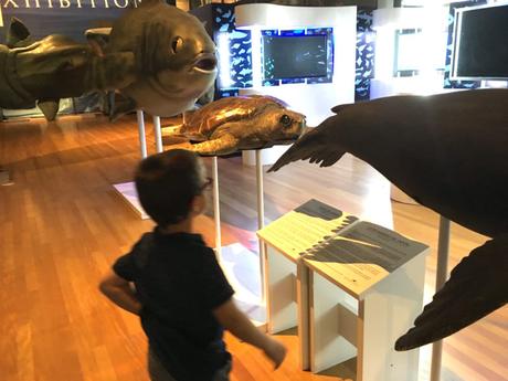 Exposición “Océanos” (con niños), en el Museo de Ciencias Naturales