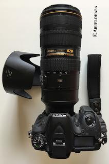 AF-S NIKKOR 70-200 mm f/2.8G ED VR II montado en Nikon D7100 Fotografia_Abuelohara_Nikon