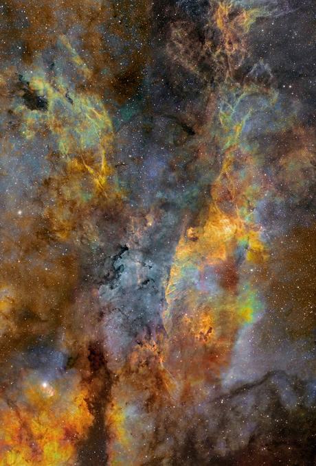 ✨Filamentos en el centro del Cisne ✨Filamentos en el centro del Cisne