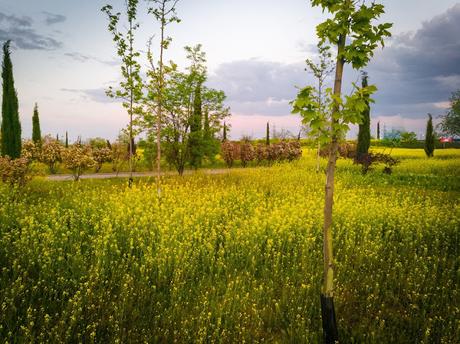 La primavera irrumpe con fuerza y nos llena de color