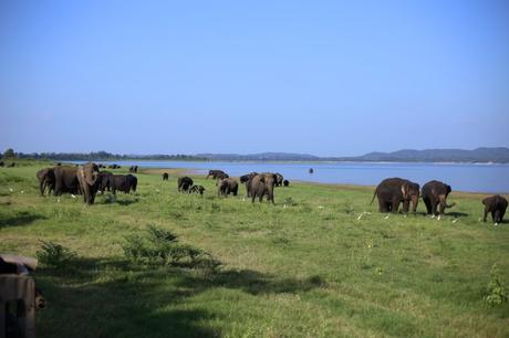 Sri Lanka, II