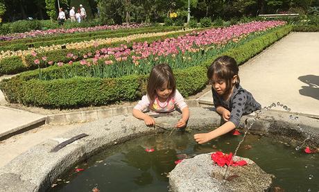 Plan Recomendado: Florecer de Tulipanes – Real Jardín Botánico de Madrid Plan Recomendado: Florecer de Tulipanes – Real Jardín Botánico de Madrid