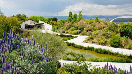 Conoce Todo Acerca Del Jardín Botánico De Barcelona, Un Lugar Imperdible Por Visitar