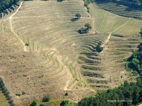 VALLE DEL DOURO, un viaje extraordinario VALLE DEL DOURO, un viaje extraordinario