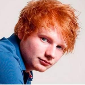 Un fan de Ed Sheeran murió tras una llamada del cantante Un fan de Ed Sheeran murió tras una llamada del cantante