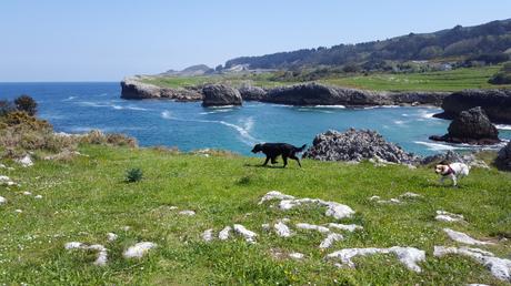 Ruta con perro: Andrín-El Cobijeru (Oriente de Asturias)