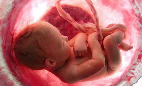 bebé en utero materno