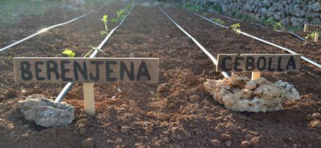 DIY: CARTELES DE MADERA PARA LA HUERTA