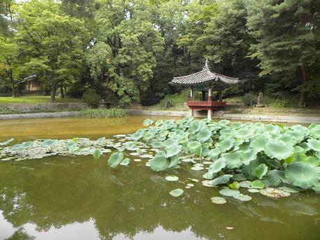 COREA DEL SUR: SEOUL, EL PALACIO CHANGDEOKGUNG Y SU JARDIN SECRETO COREA DEL SUR: SEOUL, EL PALACIO CHANGDEOKGUNG Y SU JARDIN SECRETO