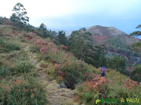 Ruta al PIEDRA REDONDA, PICO GOBIA y LA FORQUITA desde PRADO por la BIESCONA Ruta al Pico Gobia y La Forquita: Cotoyas en el sendero al Foquita
