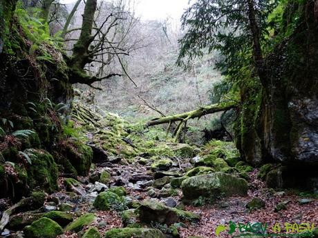 Ruta al PIEDRA REDONDA, PICO GOBIA y LA FORQUITA desde PRADO por la BIESCONA Ruta al Pico Gobia y La Forquita: Atravesando el arroyo la Toya en la Biescona