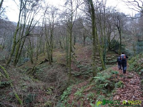 Ruta al PIEDRA REDONDA, PICO GOBIA y LA FORQUITA desde PRADO por la BIESCONA Ruta al Pico Gobia y La Forquita: Por el Hayedo de la Biescona