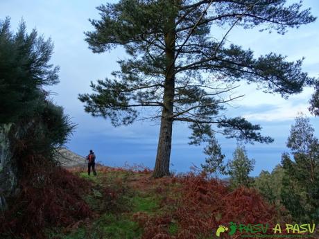 Ruta al PIEDRA REDONDA, PICO GOBIA y LA FORQUITA desde PRADO por la BIESCONA Ruta al Pico Gobia y La Forquita: Camino y pino al Forquita