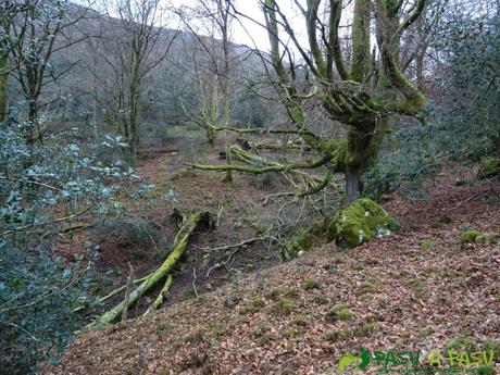 Ruta al PIEDRA REDONDA, PICO GOBIA y LA FORQUITA desde PRADO por la BIESCONA Ruta al Pico Gobia y La Forquita: Parte alta de la Biescona