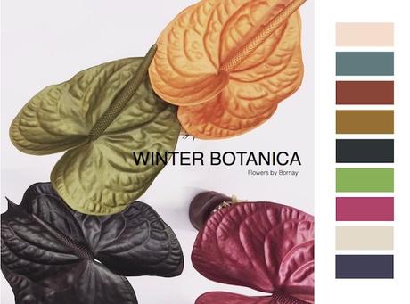 Colores de moda invierno 2018 winter botanica