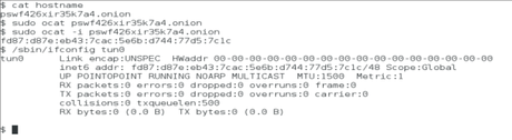 Servicios ocultos en TOR sobre IP: Creando un adaptador VPN anónimo con OnionCAT