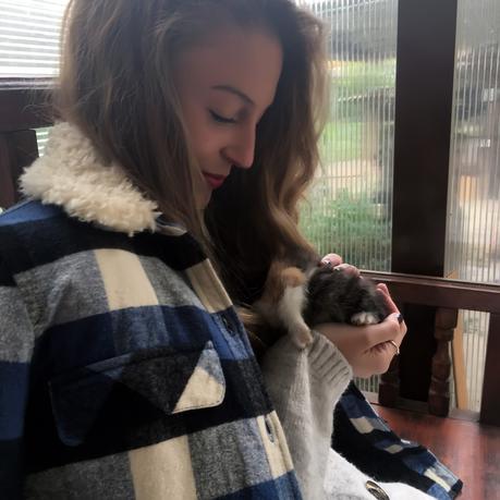 Tartan azul Tartan azul