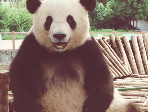 Panda 4.0 Update – Reacciones Panda 4.0 Update – Reacciones
