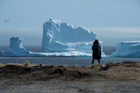 Impresionante iceberg que apareció en las costas de Canada