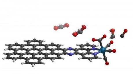 Hoja molecular Hoja molecular