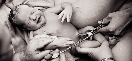 Y justo cuando la oruga pensó que era su final, se transformó en mariposa… Y justo cuando la oruga pensó que era su final, se transformó en mariposa…