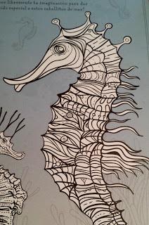 Explora el mar desde el sofá Explora el mar desde el sofá