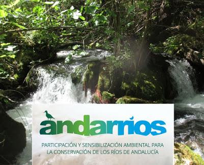 Programa Andarrios primavera 2017