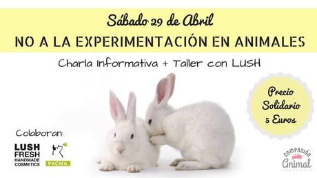 no a la experimentacion